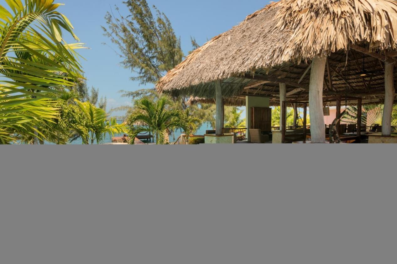 Little Harvest Caye - Your Own Private Island Placencia Exterior photo
